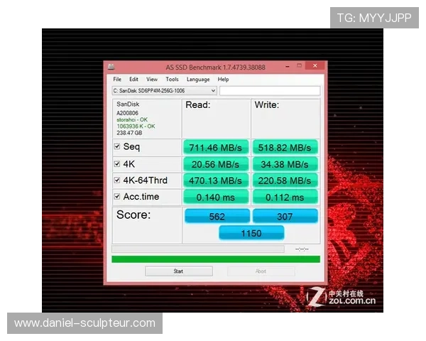 用户实测pa电子电脑版的使用感受与评价，真实反馈助你决策