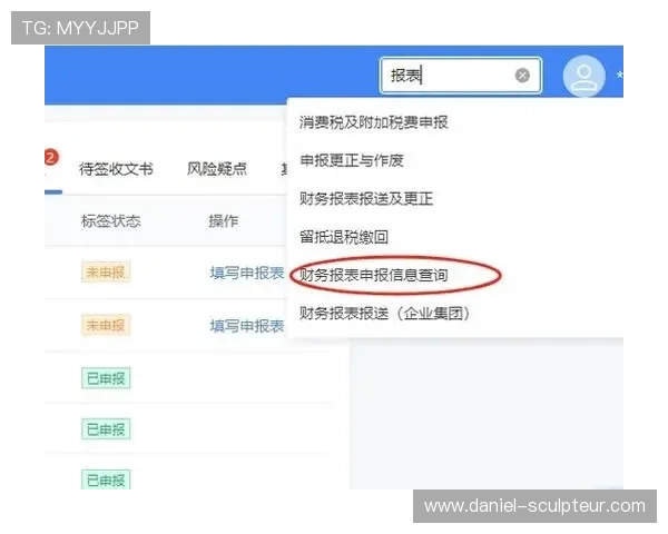 hb电子税务局官网安全登录方式及个人税务信息保护措施详解