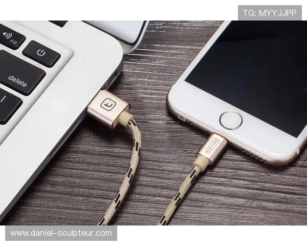 角子机游戏机官网登录指南，助你顺利进入高收益老虎机世界